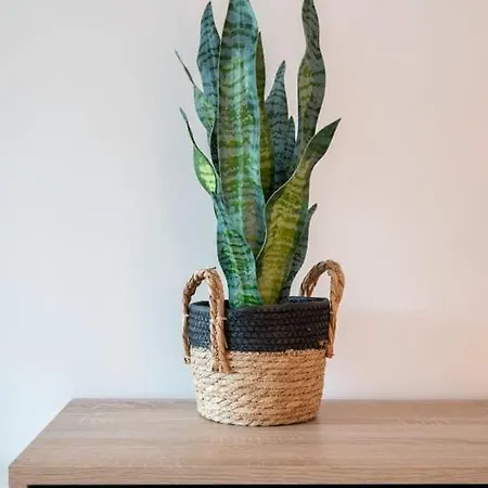 Appartement Cozy Au Calme Avec Balcon ! La Madeleine (Nord)